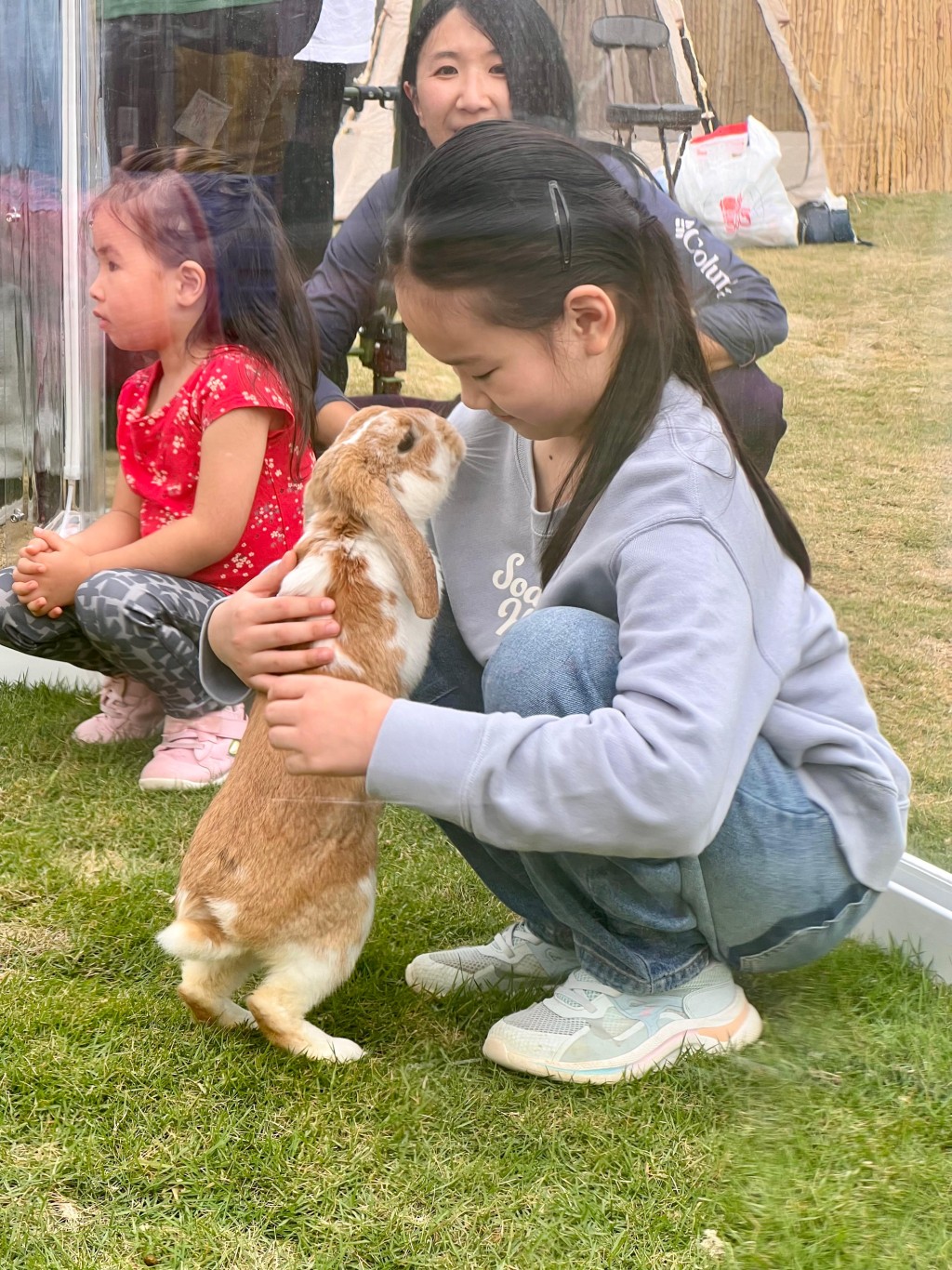 特設「兔兔學堂」，讓小朋友學習正確的養兔知識， 建立人兔共融的價值觀。（圖片來源：《親子王》）