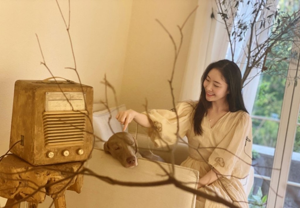 陳露想重新開始自己的生活。