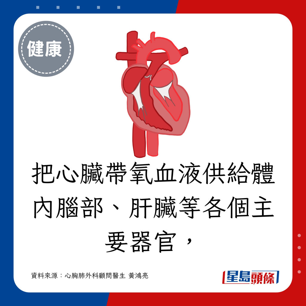 把心臟帶氧血液供給體內腦部、肝臟等各個主要器官，