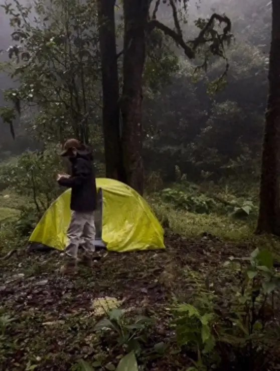 「苗疆陳朵朵」拍片分享闖入哀牢山露營情況。影片截圖