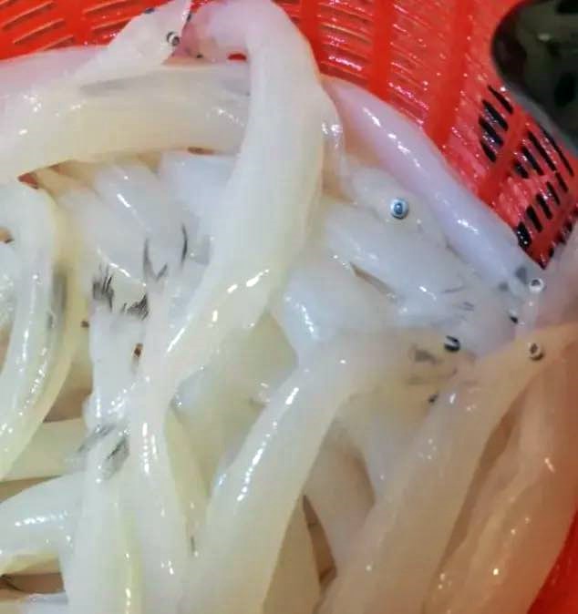 facebook截圖（資料來源：急症室日務＠facebook）