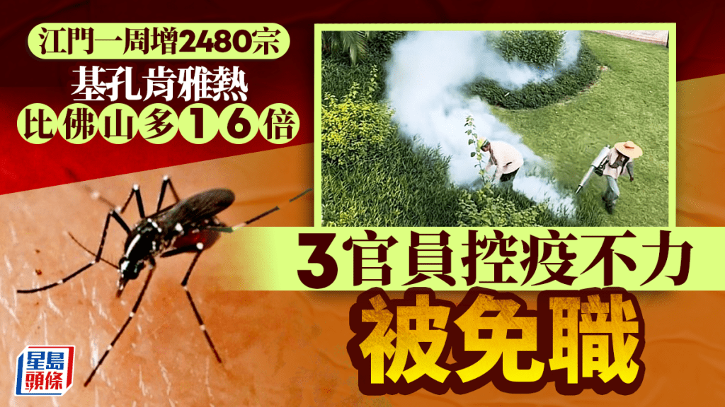 基孔肯雅熱︱江門一周增2480宗感染  副市長等3官被免職