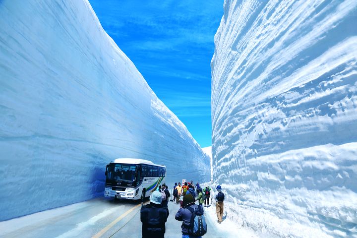 6月中旬的團隊，有望趕上本年度的「尾班車」欣賞雪之大谷景致。
