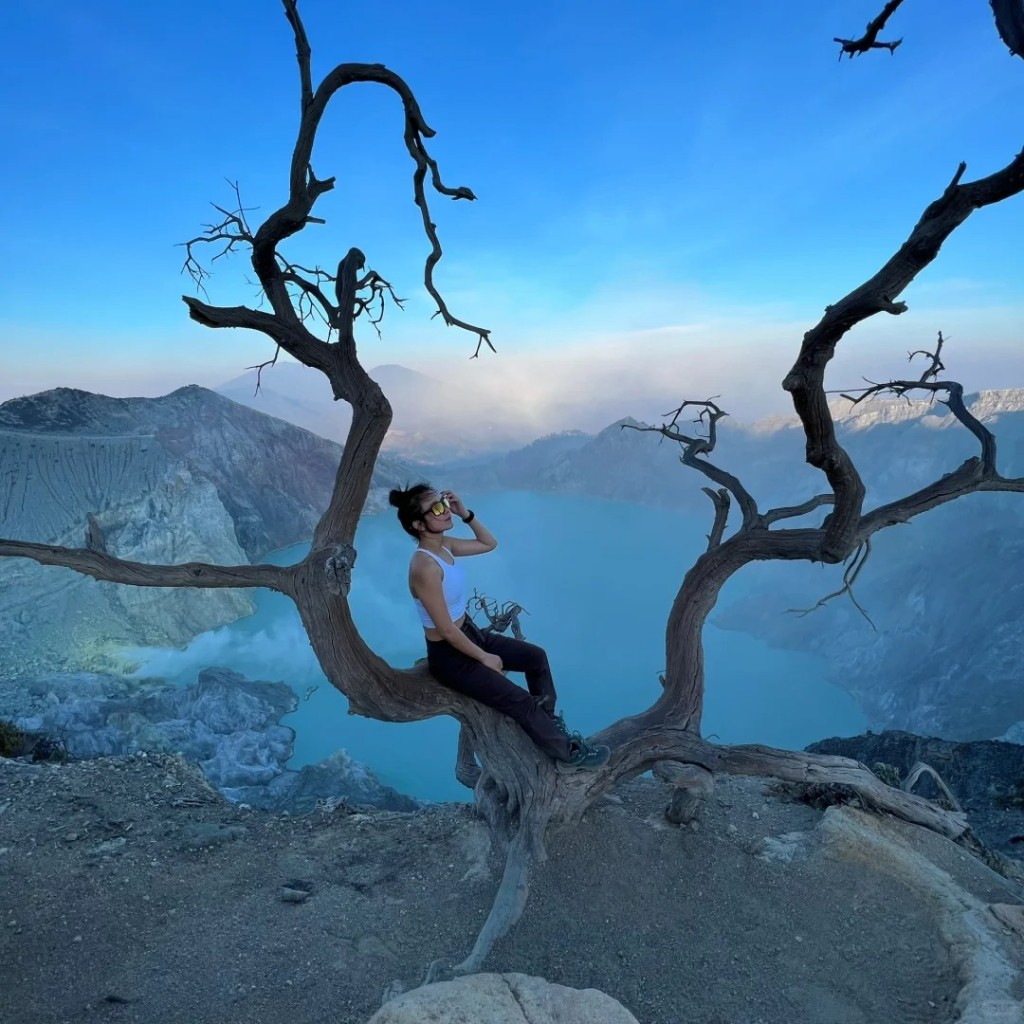 到印尼「伊真火山」網紅樹成為遊客打卡位。小紅書