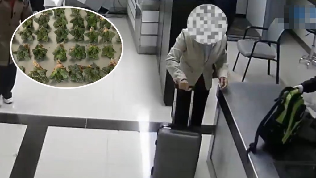 一名女客經羅湖口岸北上，被發現偷運52株「龜甲牡丹」仙人掌。海關發布