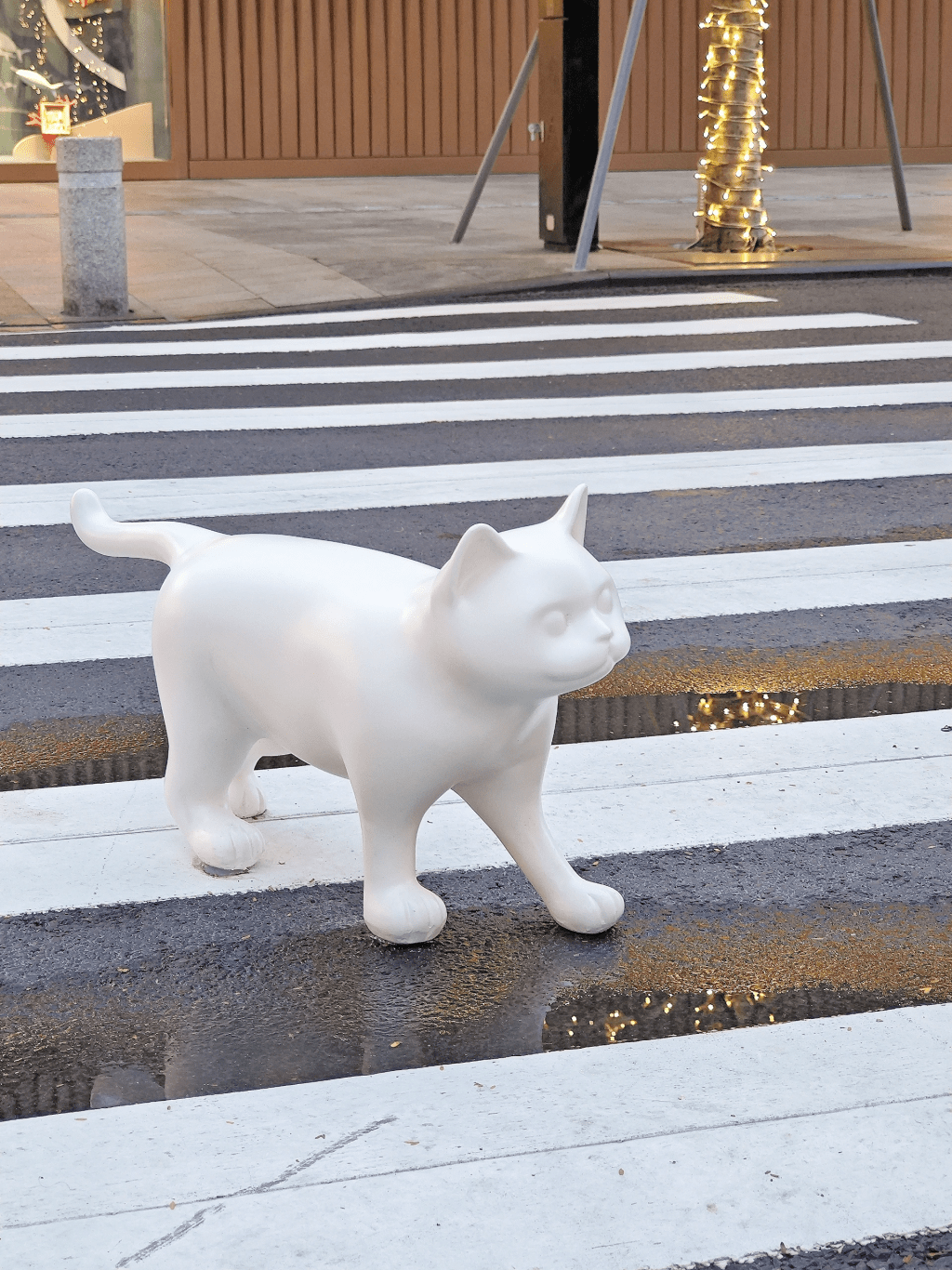 站在路上的小貓貓展品（圖片來源：小紅書）