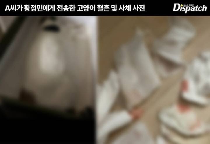A瘋狂傳短訊和寄遺書，甚至寄貓屍相、沾血紙巾給黃晸珉。
