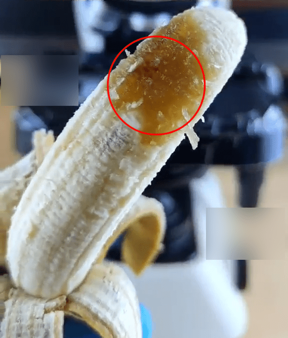影片裡是一根已經剝皮的香蕉，果肉有部分顏色較深。