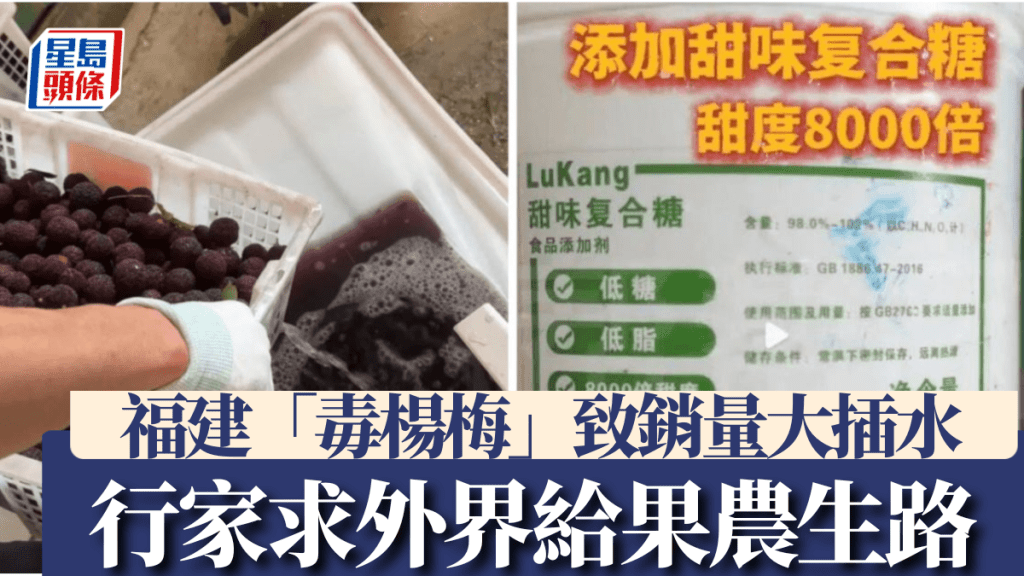 內地「毒楊梅」違規添加 8000倍甜味劑防腐劑，工人爆自己亦不敢吃。