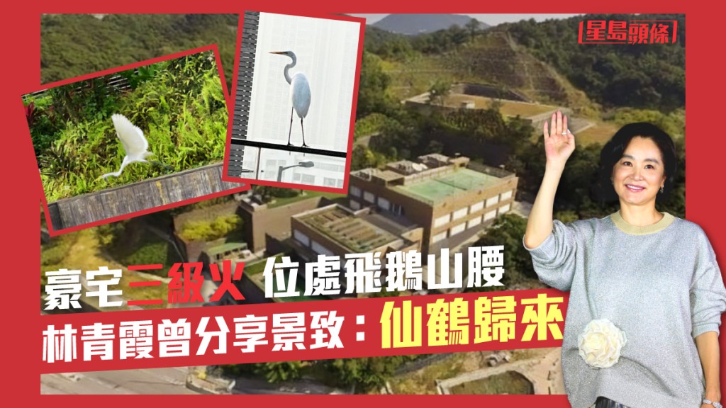 林青霞曾分享景致,指「仙鶴歸來」。網圖