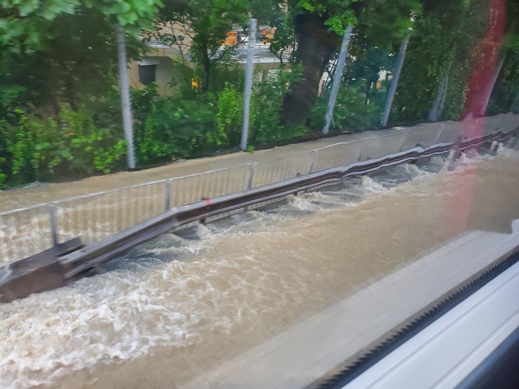 車路成澤國。