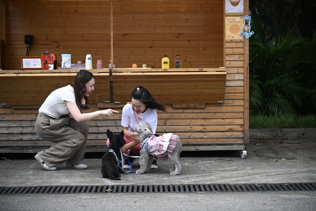 黃傑龍亦強調，員工對狗隻的接受程度亦是餐廳申請的重要考量之一。