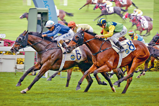 沙田馬場元旦賽馬，全日投注額為十五億八千萬元。