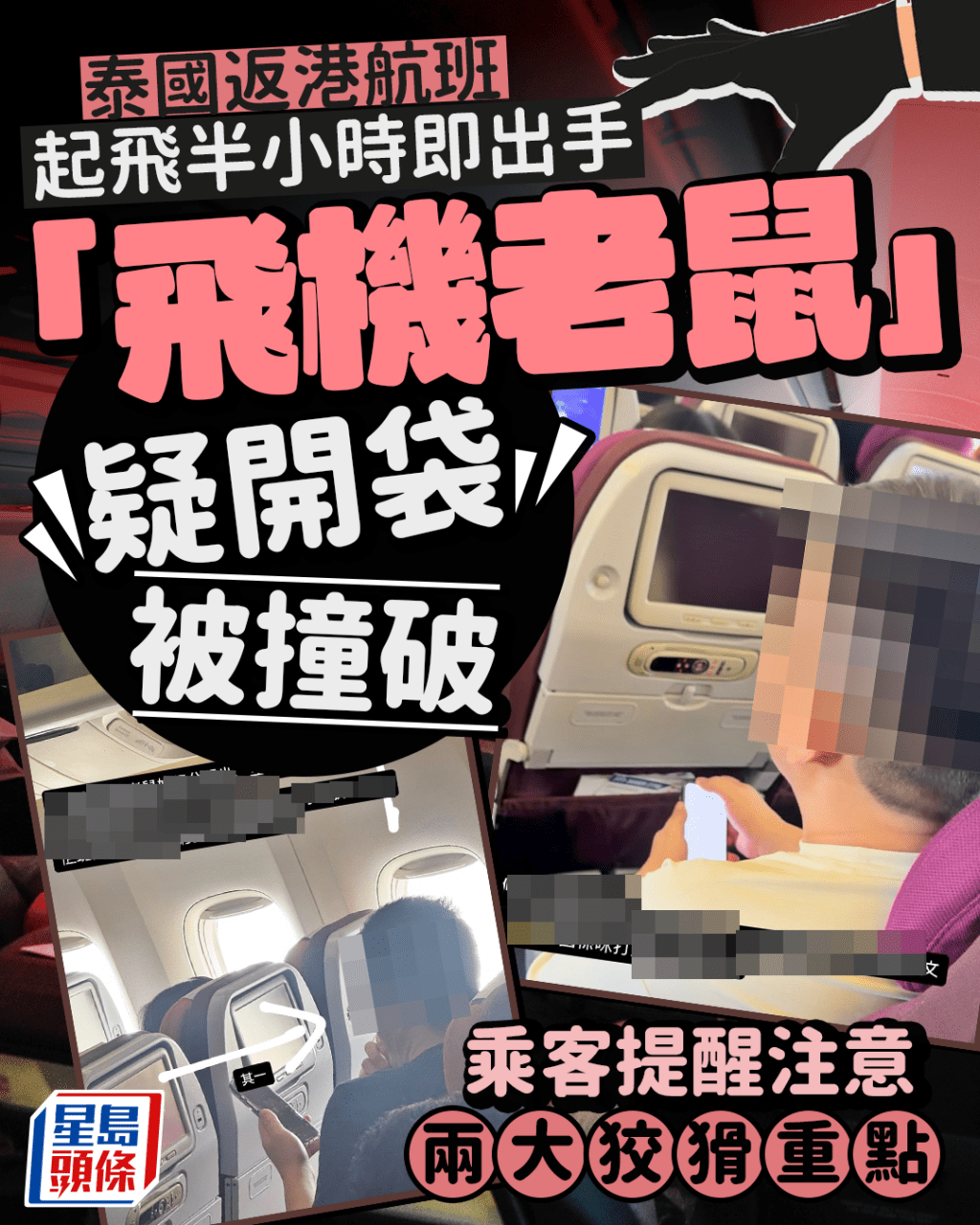 泰國返港航班起飛半小時即出手 「飛機老鼠」疑開袋被撞破 乘客提醒注意兩大狡猾重點
