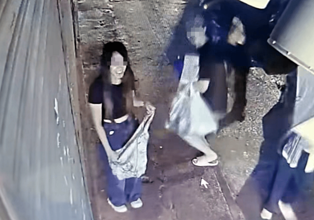 涉嫌偷貓的男女。網片截圖