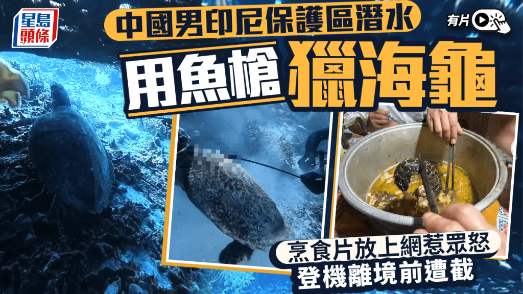 涉印尼獵食受保護玳瑁 華漢被起訴罪成可囚15年｜有片