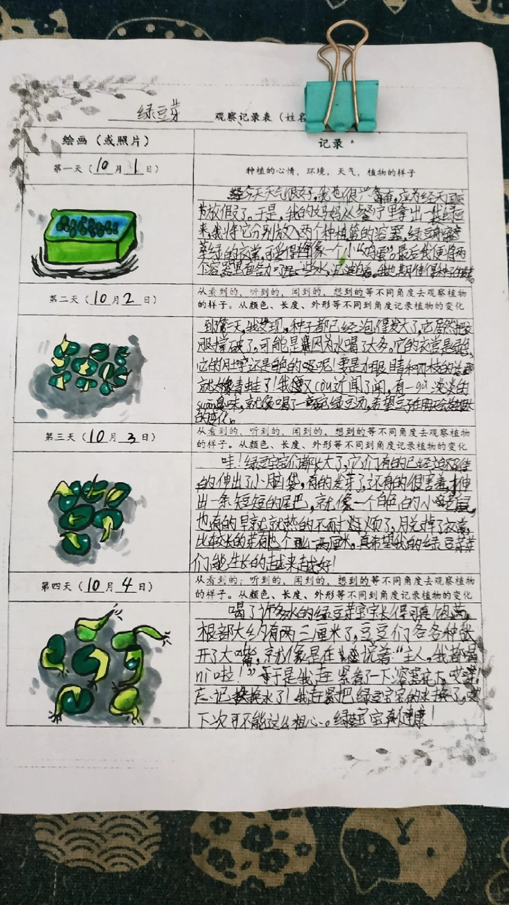 國慶長假中,許多家庭也要帶著綠豆芽出遊,讓孩子完成觀察日記功課。小紅書@預見你 國慶長假中,許多家庭也要帶著綠豆芽出遊,讓孩子完成觀察日記功課。小紅書@預見你