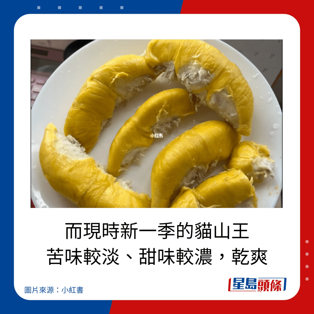 榴槤品種推介｜新一季的貓山王 苦味較淡、甜味較濃，乾爽。