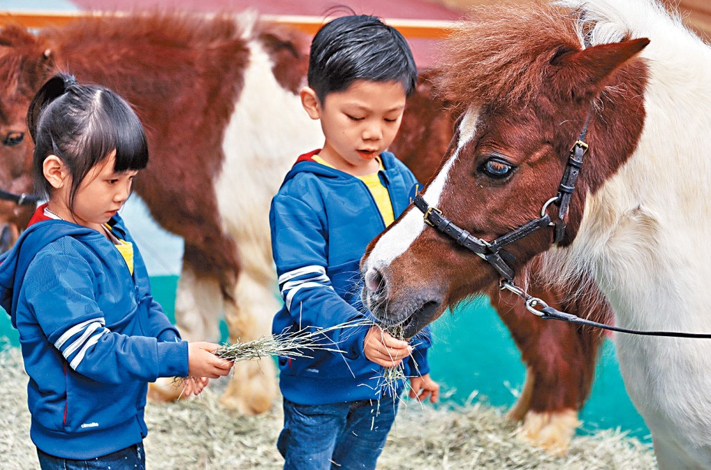 有意見盼在賽馬時段開放沙田彭福公園,並增設賽馬相關遊戲和活動。