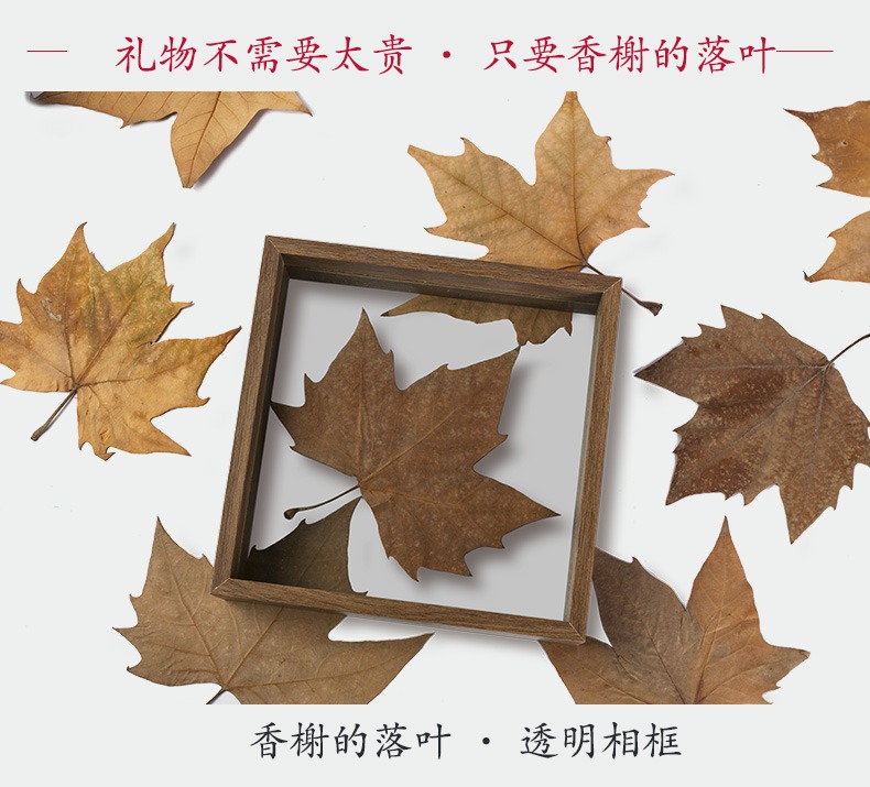 網上有商家發售落葉。網上圖片