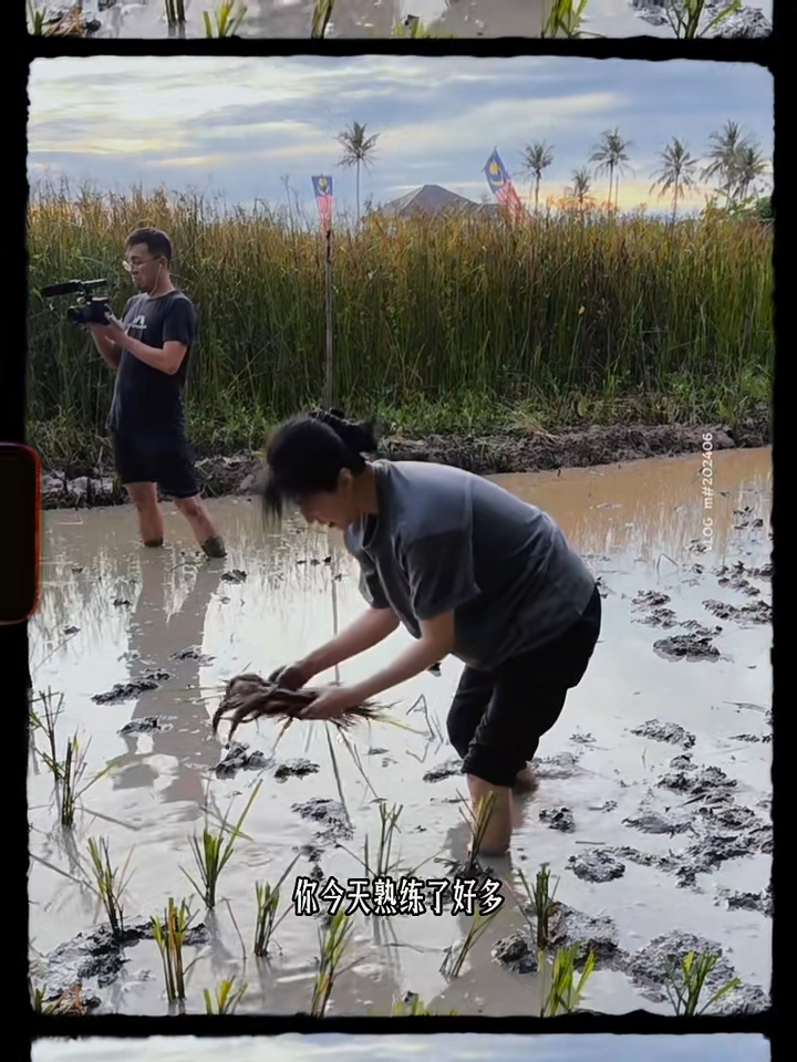 影片中可以看到打扮樸素的范冰冰盤起頭髮，穿上灰色T恤及黑色七分褲，赤腳踏入泥濘中，有樣學樣地跟身旁的農婦學插秧，姿勢更獲讚熟練。