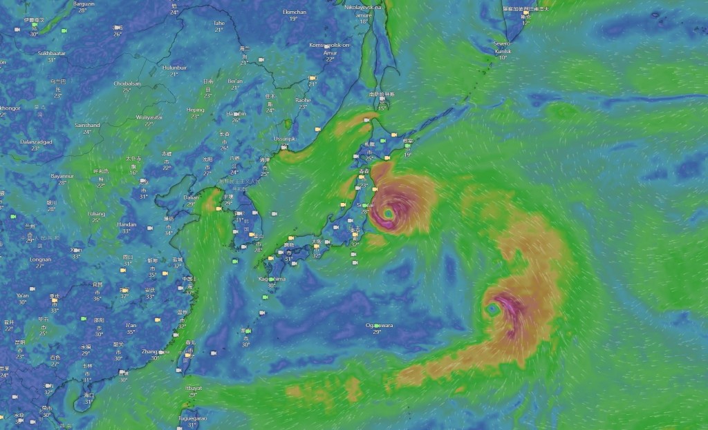 歐洲中期天氣預報中心預計，連同颱風瑪莉亞，本周或多達4個熱帶氣旋逼近日本。（WINDY.COM）