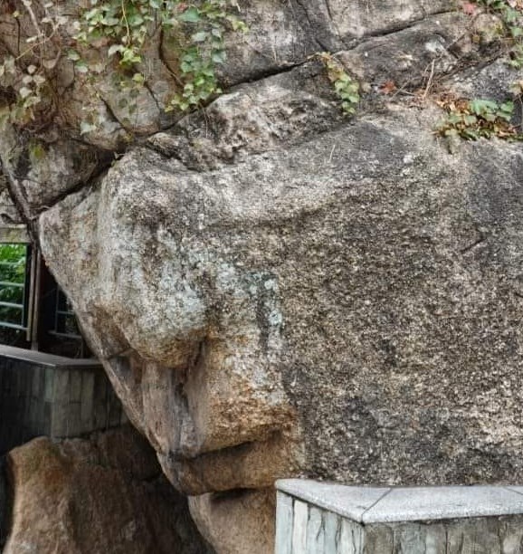 从特定角度去看人头石，会看到像眼睛鼻子和嘴唇的模样。fb「香港初级行山群组」截图