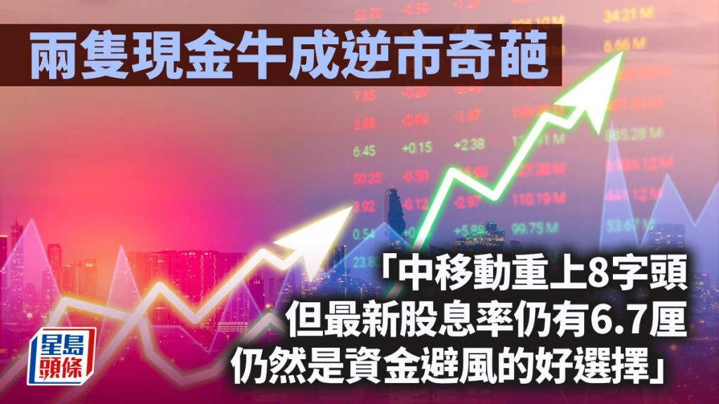 两只现金牛成逆市奇葩｜唐牛