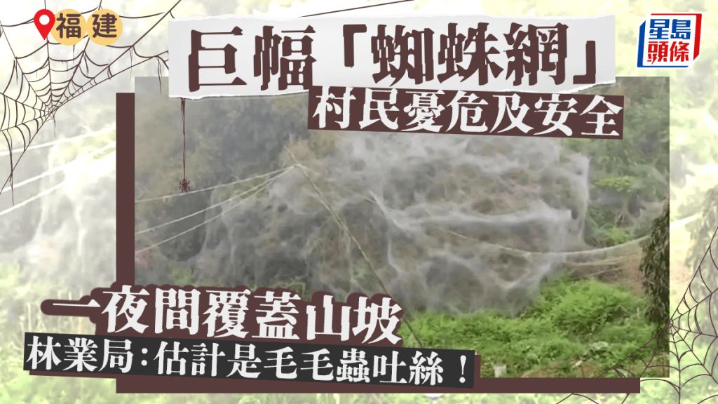 福建泉州德化縣有山坡，一夜之間被「蜘蛛網」覆蓋。