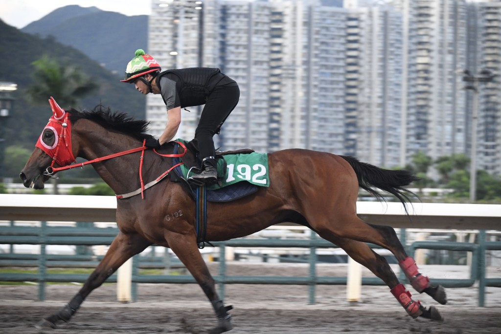 「大才」毛色油潤呈現光澤，狀態長期見好未曾低落。