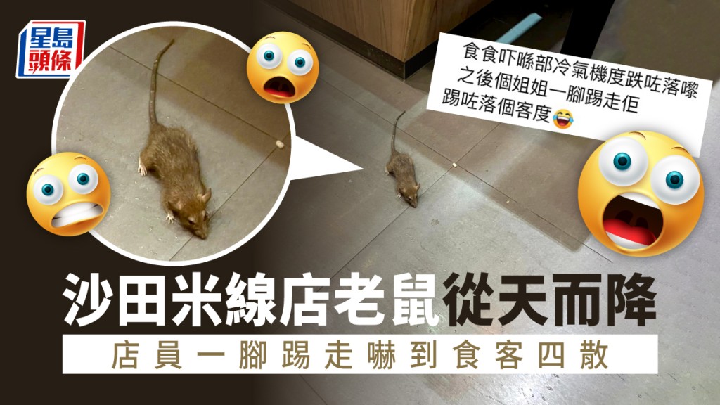 有網民在沙田一間米線店用餐時，一隻老鼠突然從天而降。「香港米線關注組」FB
