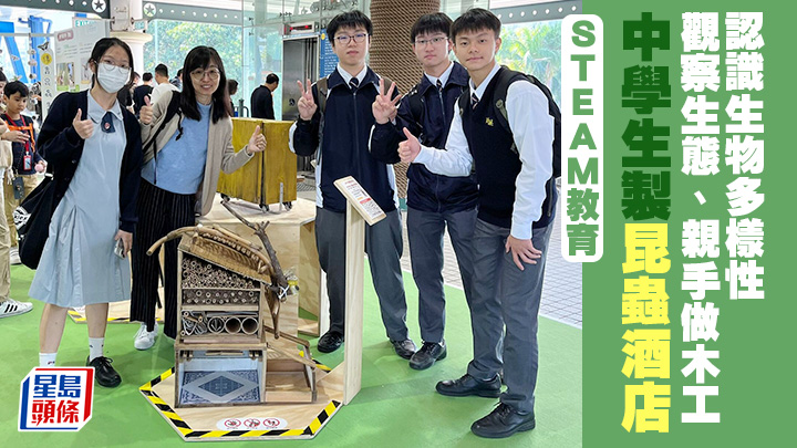 STEAM教育|中學生製昆蟲酒店 觀察生態、親手做木工 認識生物多樣性