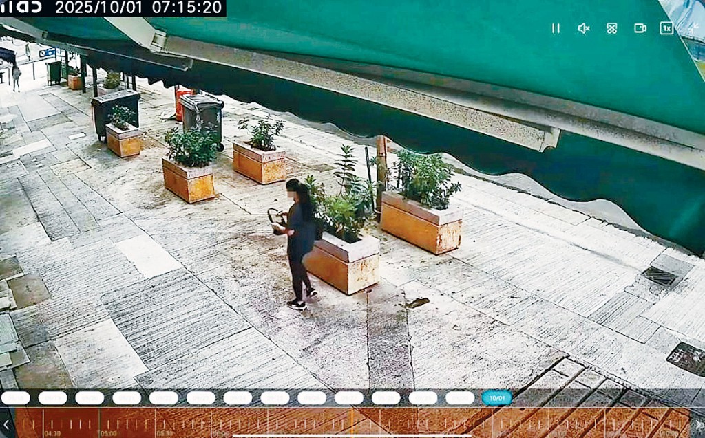片段所見，一名穿全黑衣服的女子順手牽羊偷走花圃上一個黑色手袋。