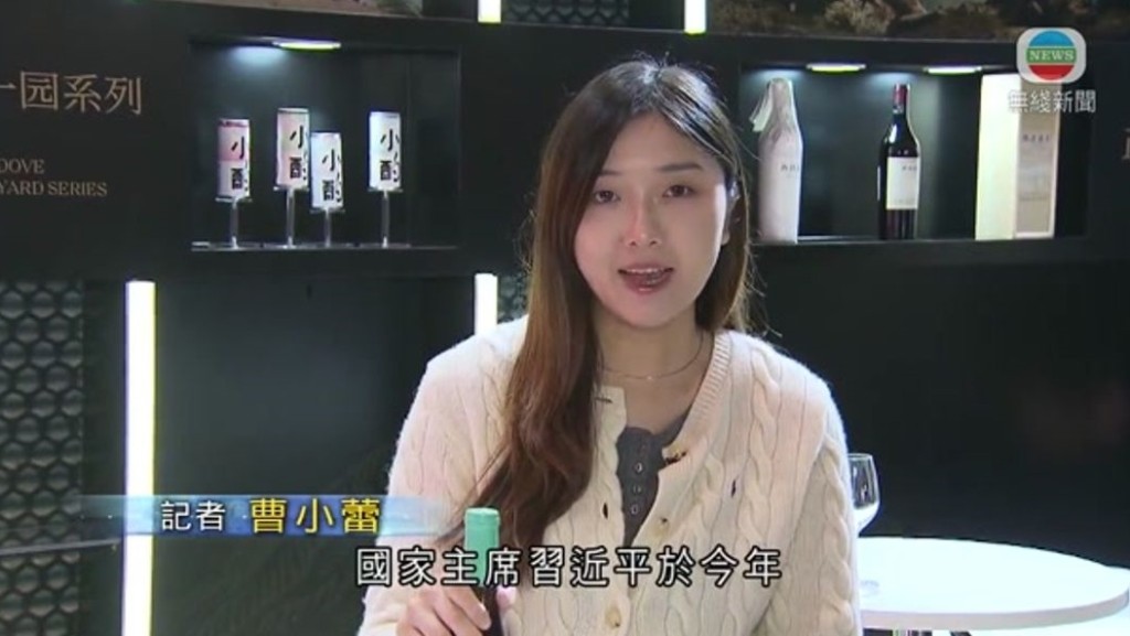 曾任無綫新聞部,年僅23歲的曹小蕾將出任青民秘書長。電視截圖