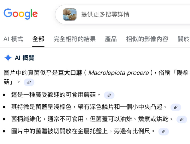 本報記者嘗試Google,不同角度的照片都被認成可食用的菇類。 本報記者嘗試Google,不同角度的照片都被認成可食用的菇類。