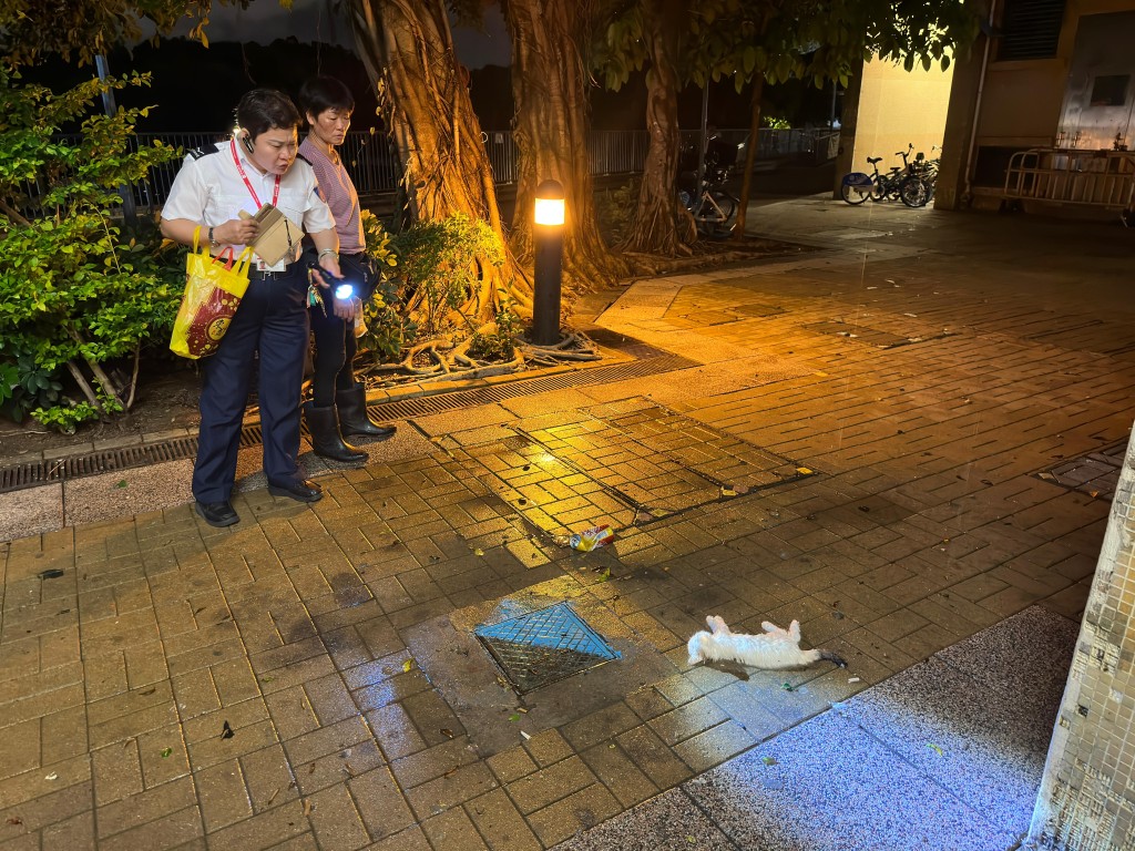 保安發現後報警求助。