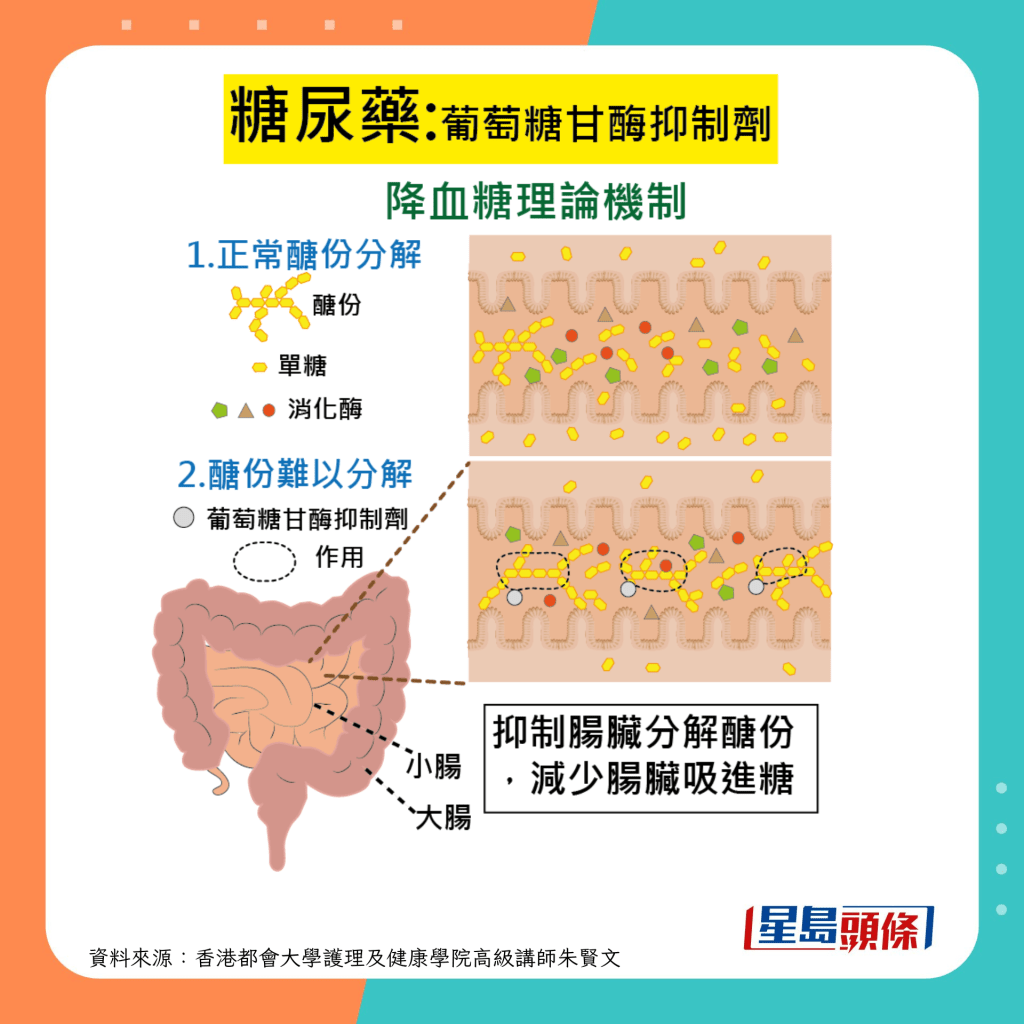 糖尿病药｜葡萄糖甘酶抑制剂功效及副作用