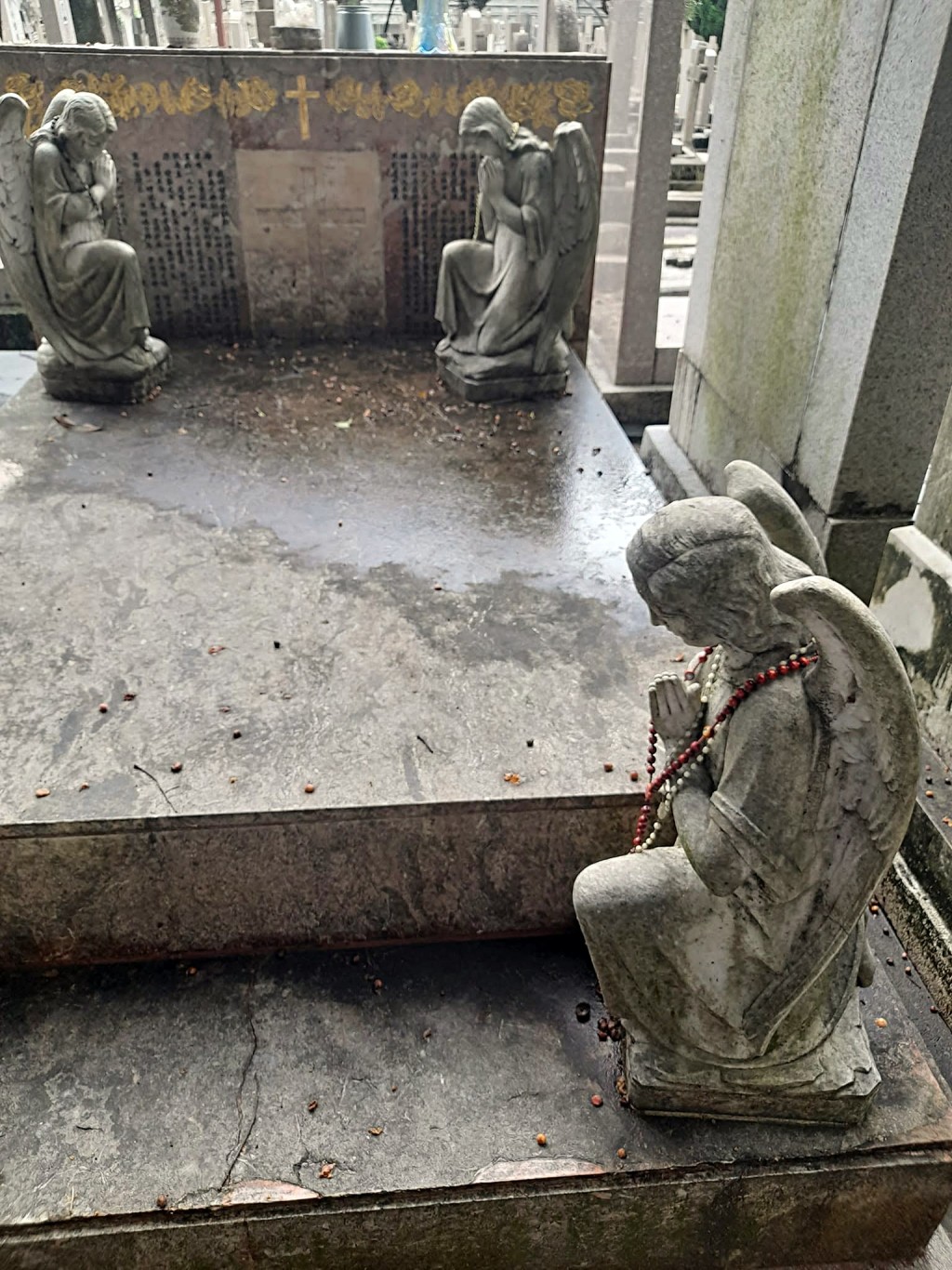 林黛墳墓舊貌。 林黛墳墓舊貌。