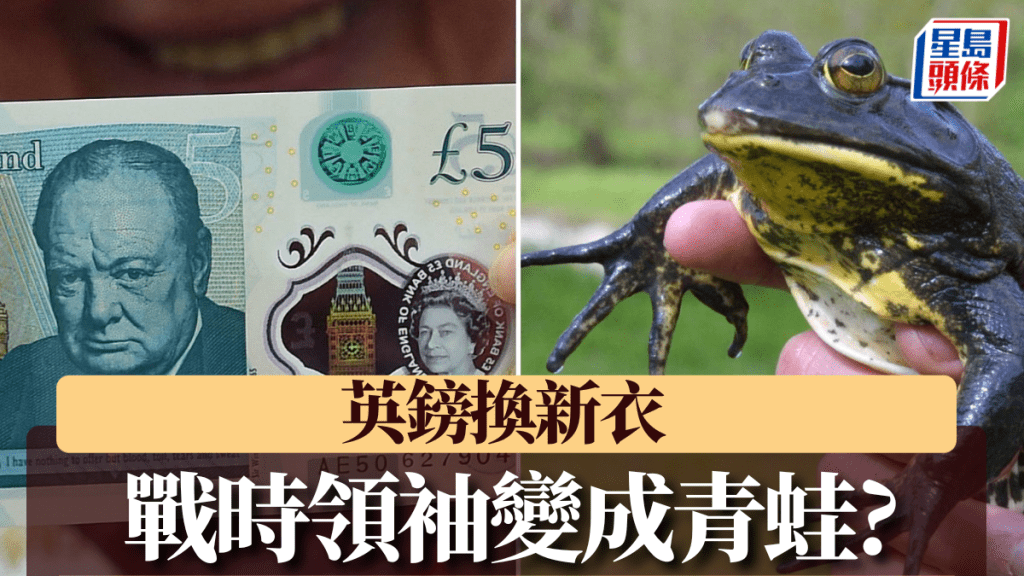 5英鎊上的邱吉爾可能被青蛙取代。法新社