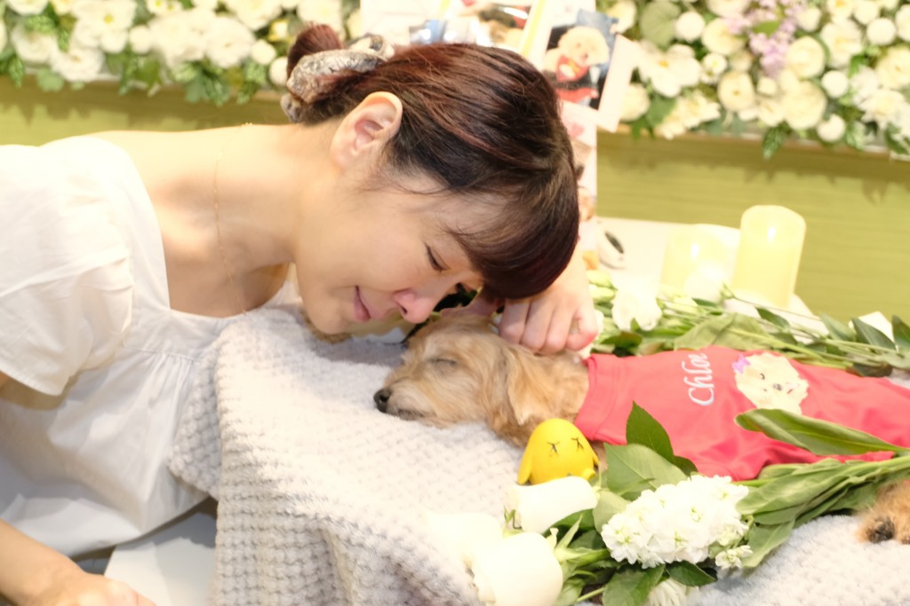 向海嵐不捨愛犬。