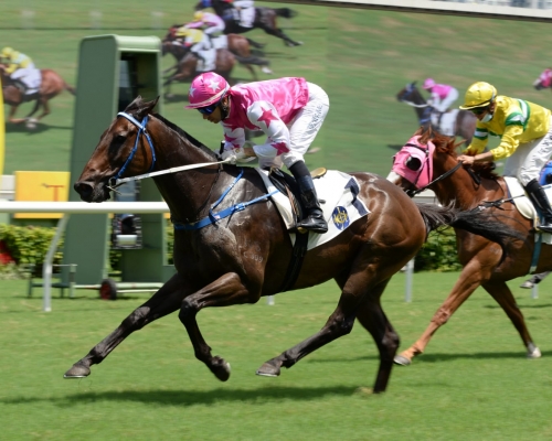 「春風得意」今日贏馬開齋。