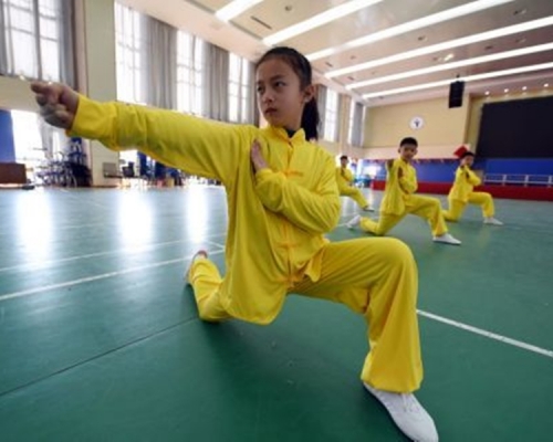 通過武術賽事和活動從事賭博、詐騙等違法行為，均被納入重點清理整治的領域。網圖