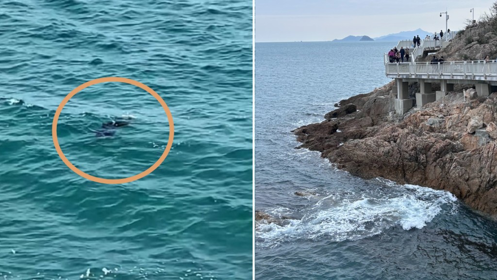 大梅沙海濱棧道周三出現浮屍。(互聯網)