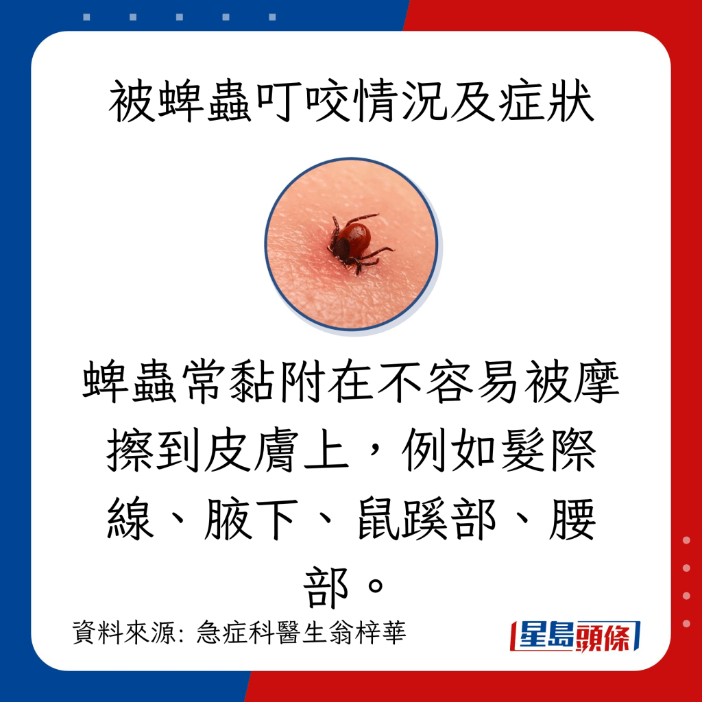 蜱蟲常黏附在不容易被摩擦到皮膚上，例如髮際線、腋下、鼠蹊部、腰部。