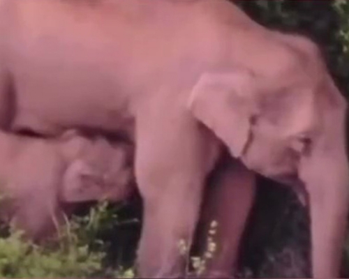 象寶寶吃奶珍貴畫面曝光。 