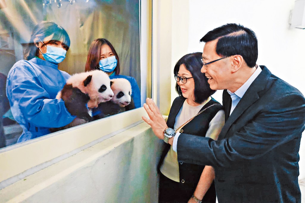 李家超近日與妻子到海洋公園探訪一對大熊貓BB。