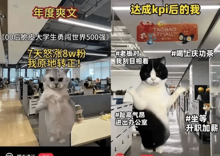 貓咪「霸屏」政務新媒體火遍全網。