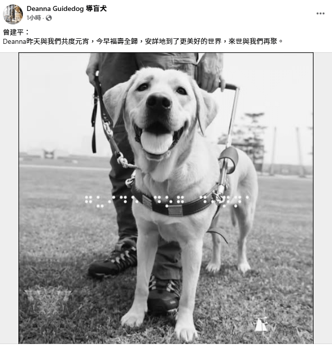 全港第一隻獲國際認可的導盲犬Deanna今日（13日）去世。