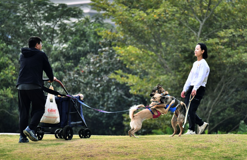 今年一月亦較正常溫暖,平均氣溫為17.5度,較正常值16.5度高1.0度。 今年一月亦較正常溫暖,平均氣溫為17.5度,較正常值16.5度高1.0度。