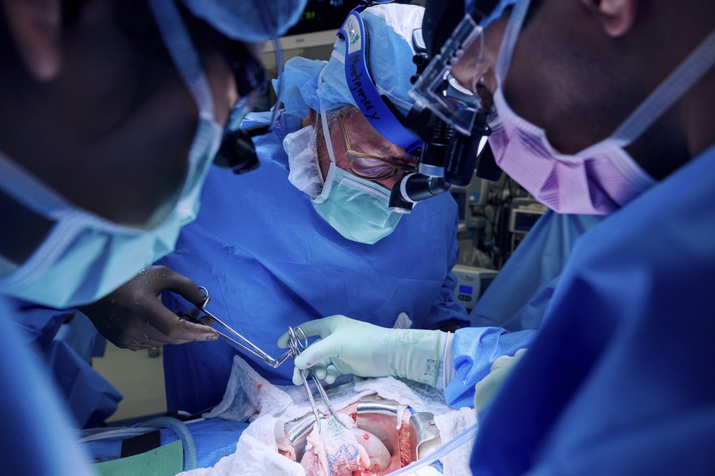 皮萨诺是历来第2个接受猪肾移植的患者，也是首名接受猪器官移植的女性。美联社